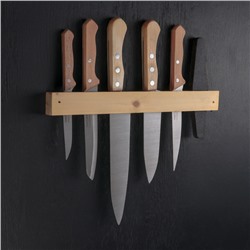 Набор ножей «Для мясника», 5 шт, на деревянном держателе