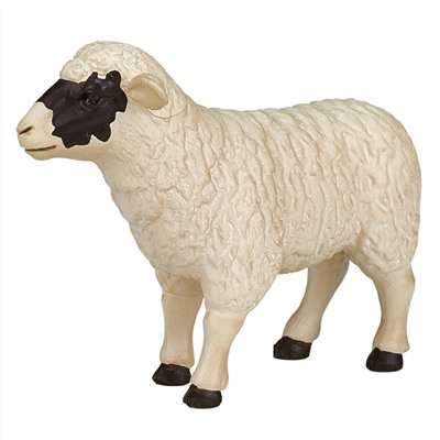 Фигурка KONIK «Шотландская черноголовая овца» AMF1019