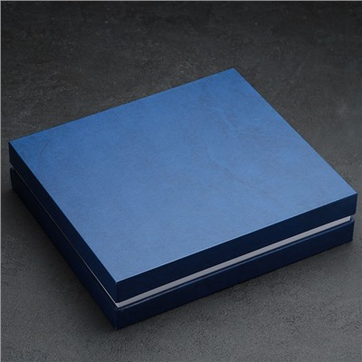 Набор столовый «Уралочка», 24 предмета, толщина 2 мм, декоративная коробка