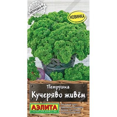 Петрушка кудрявая Кучеряво Живем Аэ