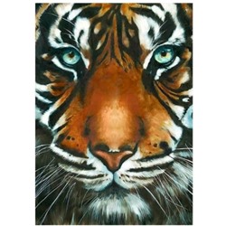 Алмазная мозаика 30х40см Взгляд тигра (холст)