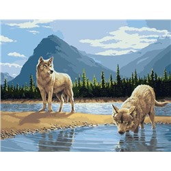 Картина по номерам 40х50 - Волки у реки