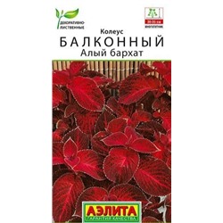 Колеус Алый Бархат Аэлита