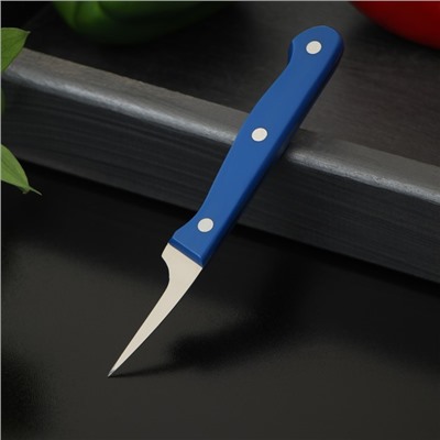 Нож кухонный «Фигурный», для карвинга, лезвие 5 см