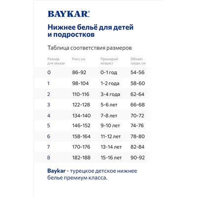 Комплект для мальчика Baykar