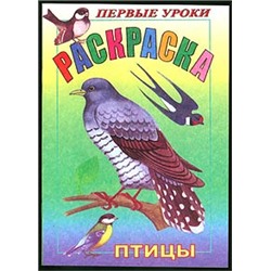 Раскраска 8л А5ф цветной блок Посмотри и раскрась-Первые уроки-Птицы-