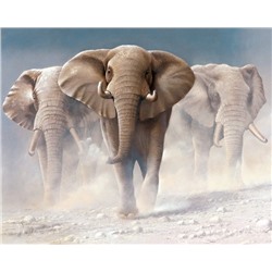 Три слона (худ. Венинг Я.) Алмазная мозаика круглыми стразами 40x50