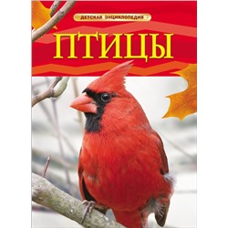 Птицы. Детская энциклопедия