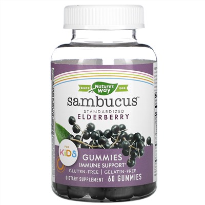 Nature's Way, Sambucus, стандартизированный экстракт бузины для детей, 60 жевательных конфет