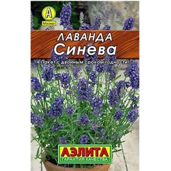 Лаванда Синева лидер Аэлита