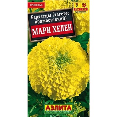 Бархатцы Мари Хелен Аэлита