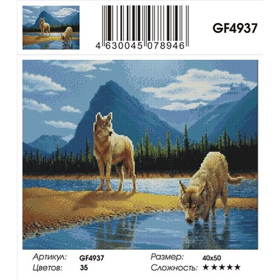 GF4937 Алмазные мозаики 40x50
