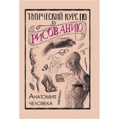 Творческий курс по рисованию. Анатомия человека СкетчКурс по рисованию Грей 2024