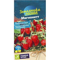 Земляника Мигнонетт Сем.Алтая