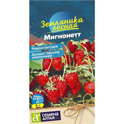 Земляника Мигнонетт Сем.Алтая