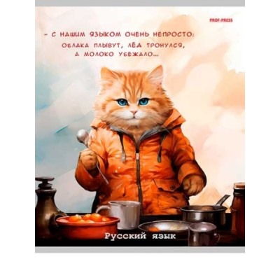 Тетрадь 48л. ЛИНИЯ «ЖИЛ БЫЛ КОТ» РУССКИЙ ЯЗЫК, скрепка, мелованный картон, без обработки (80; 10)