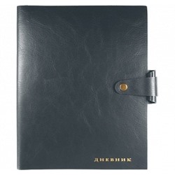 Дневник 48л. Favorite, тёмно-серая обложка, универсальный блок, офсет 1 краска, кремовая бумага 80 г